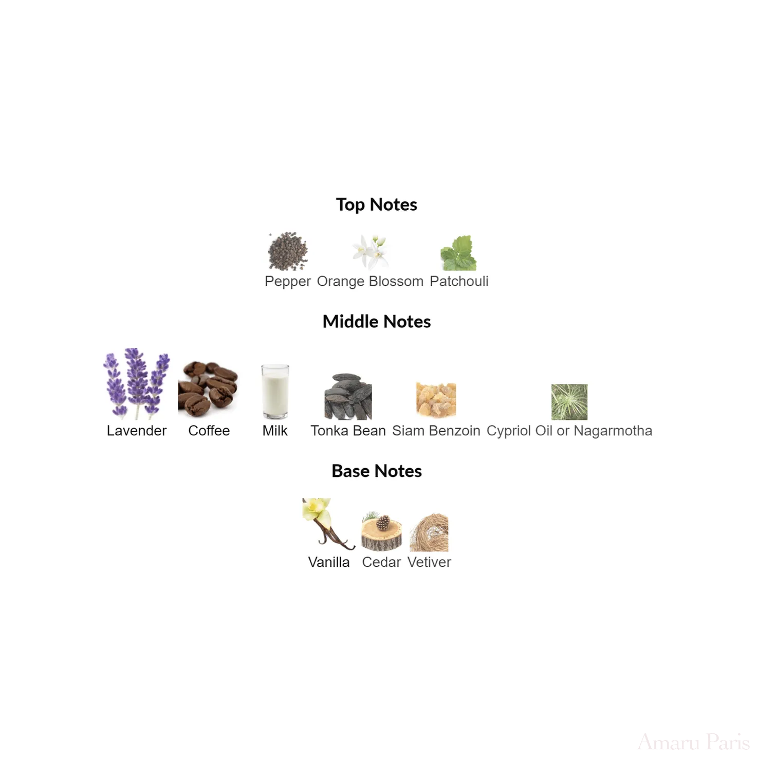 Coffee Break Maison Martin Margiela for women and men Decant Samples