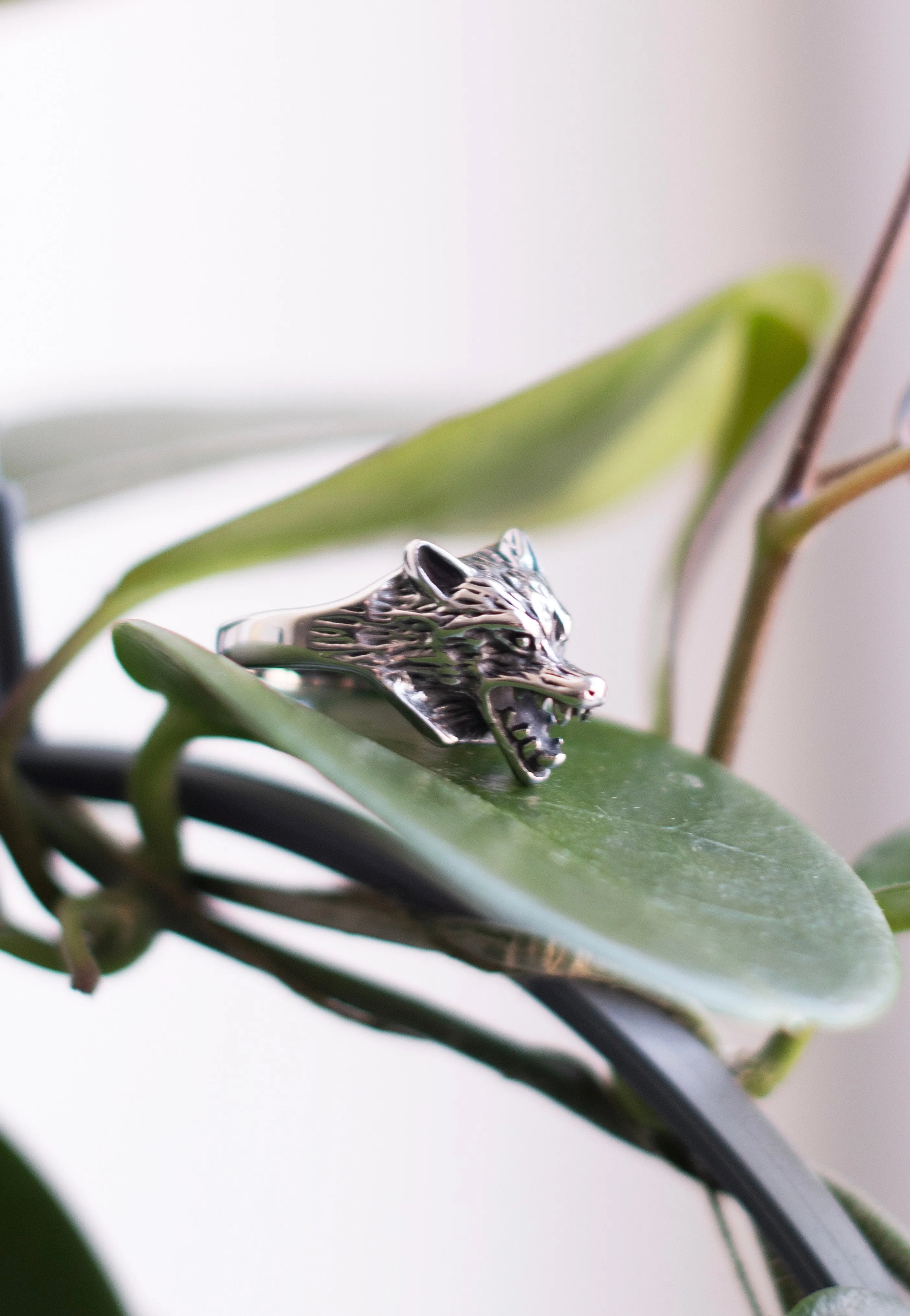 etNox - Wolf Silver - Ring