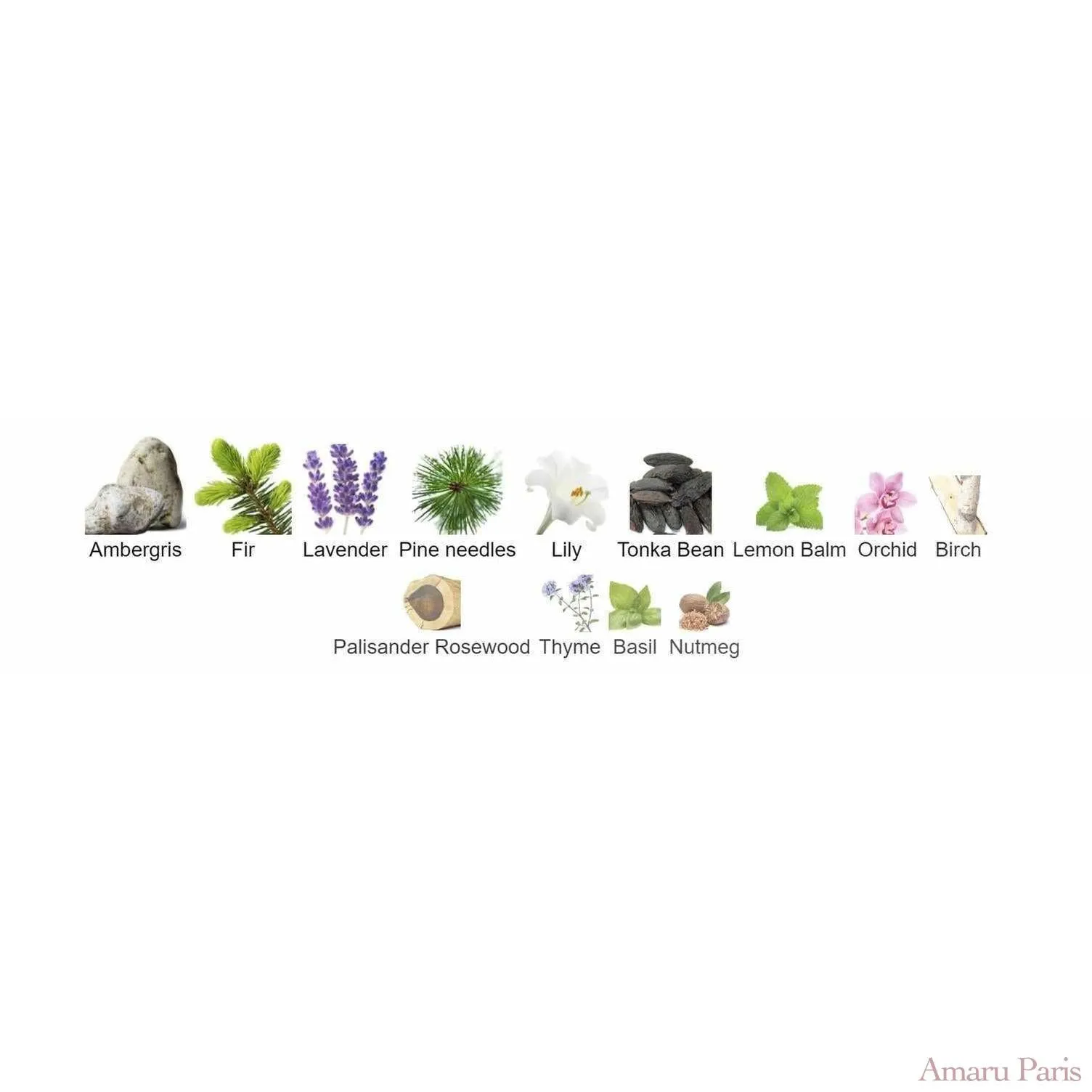 L'Air Des Alpes Suisses Tauer Perfumes for women and men Decant Samples