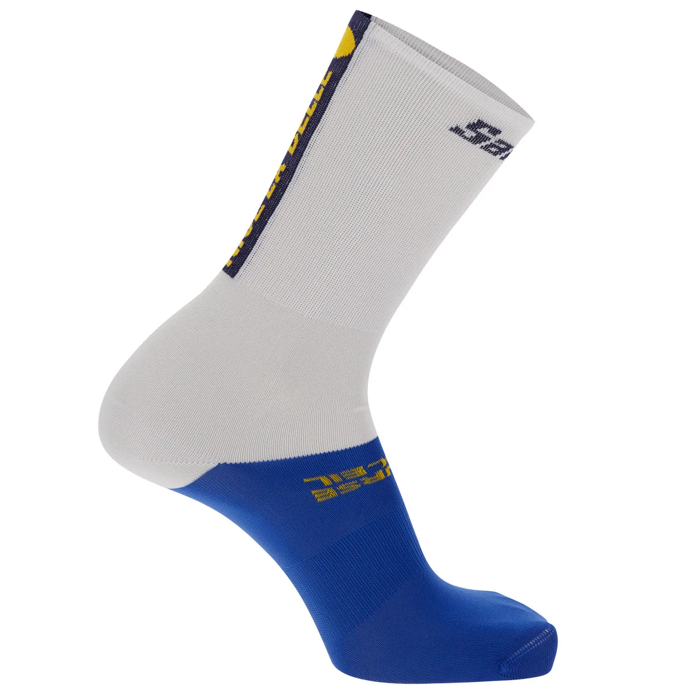 Paris Nice socks