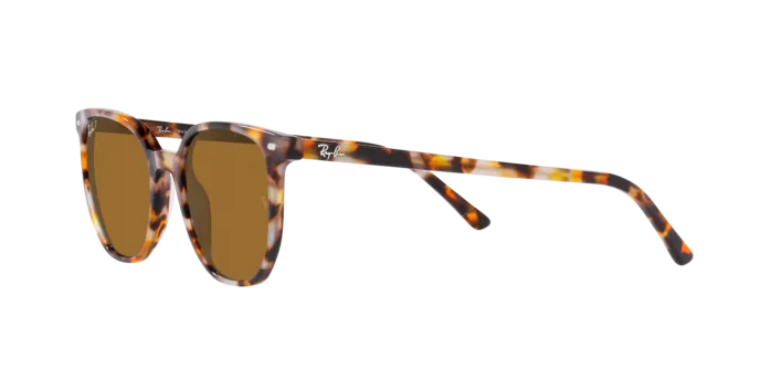 Ray-Ban Elliot RB2197 135757