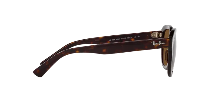 Ray-Ban Erik RB4398 902/57