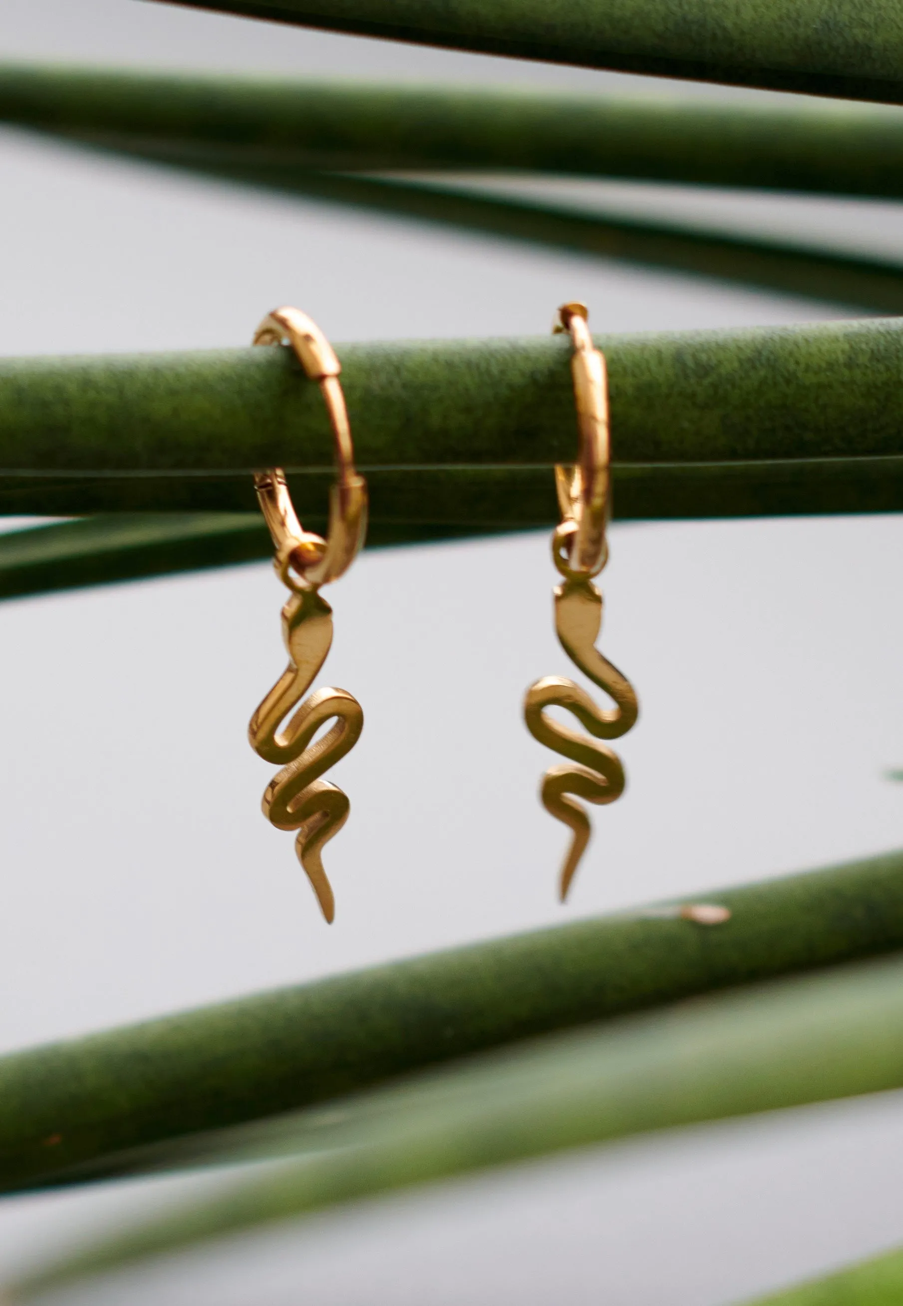 Wildcat - Little Snake Gold - Earrings