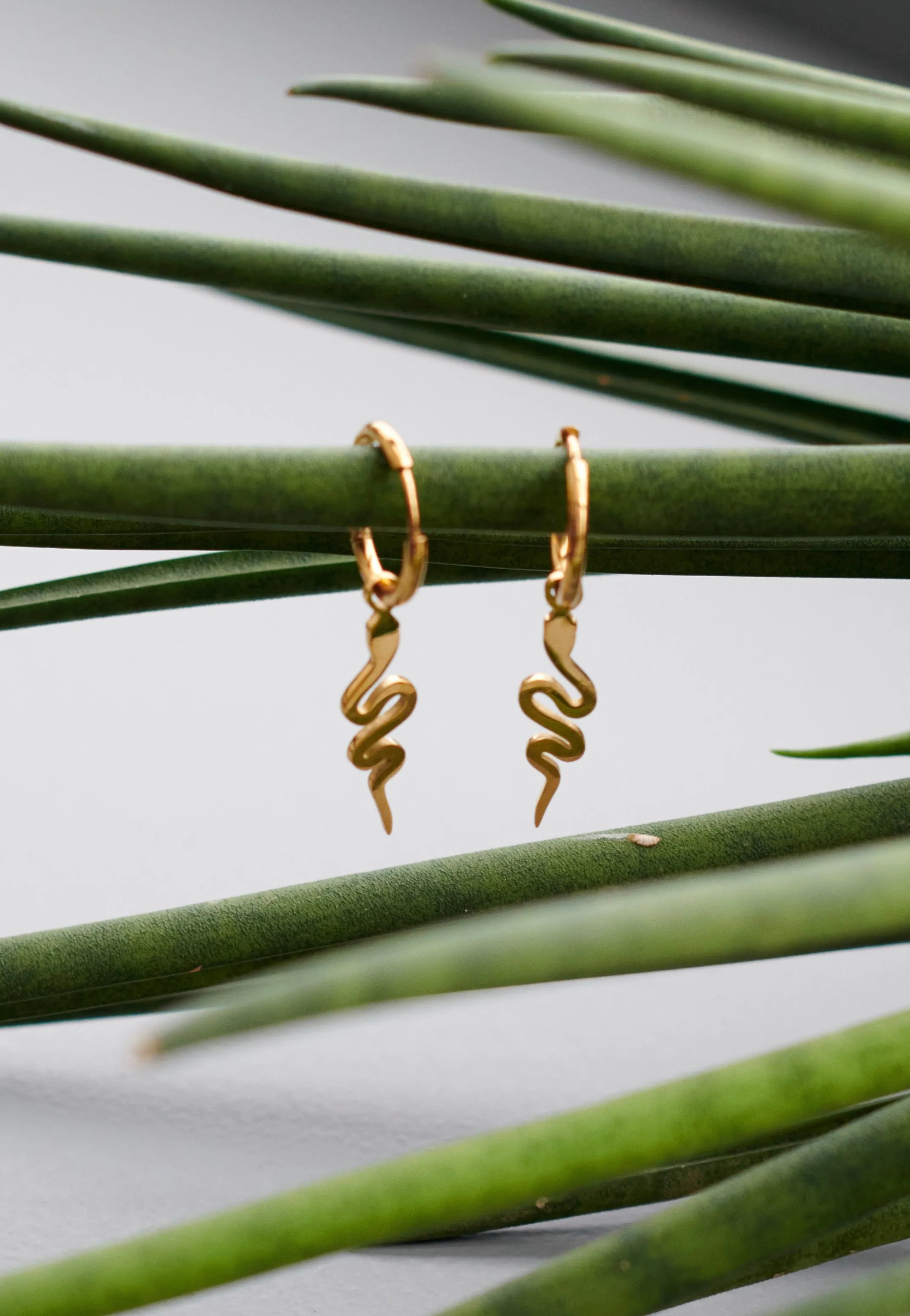 Wildcat - Little Snake Gold - Earrings
