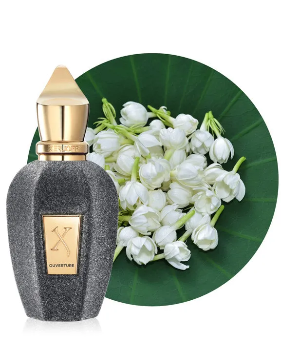 Xerjoff " V " Ouverture EDP